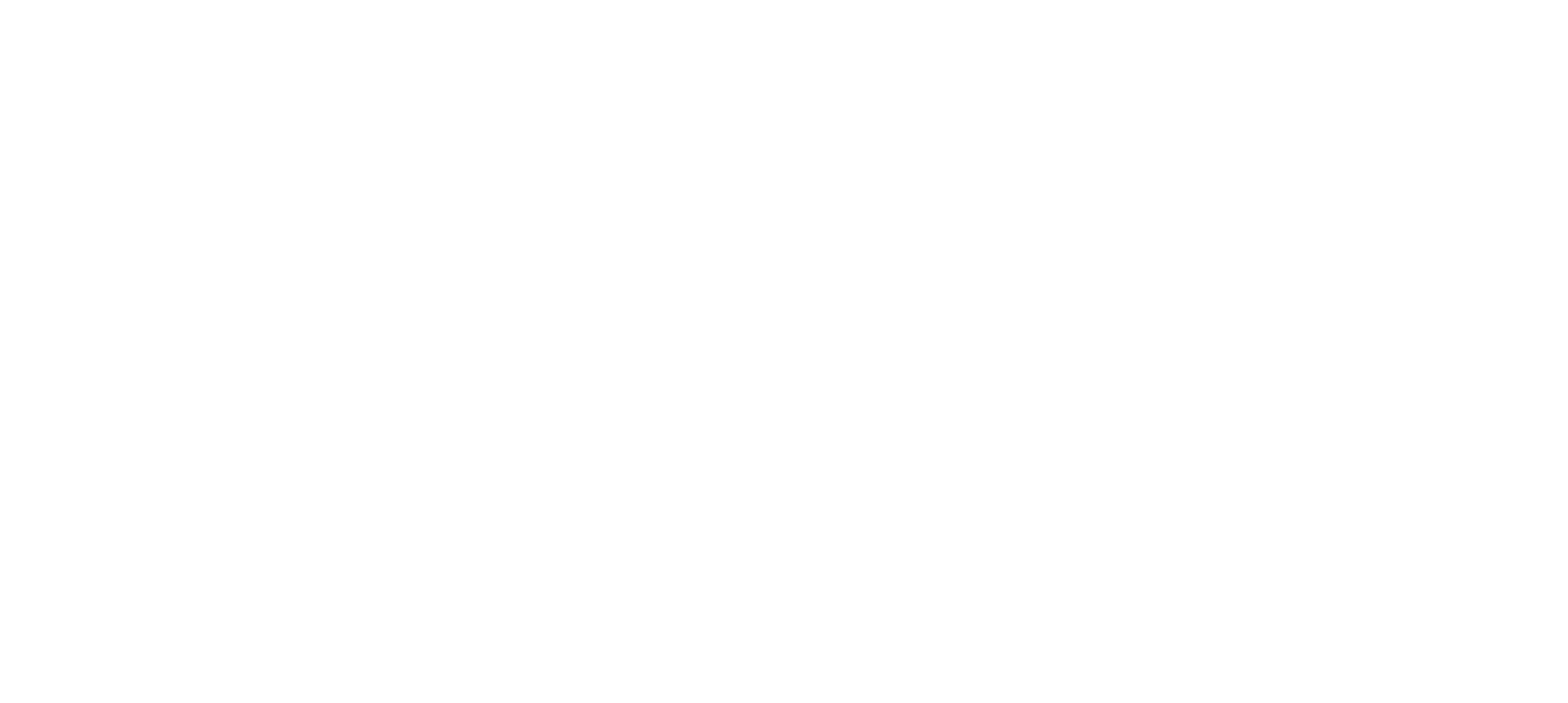 E-Flow-logo-white