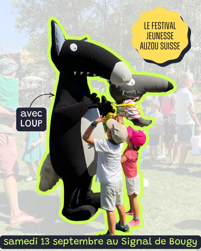 Exemple de publicité Instagram Ads en Suisse pour un festival jeunesse